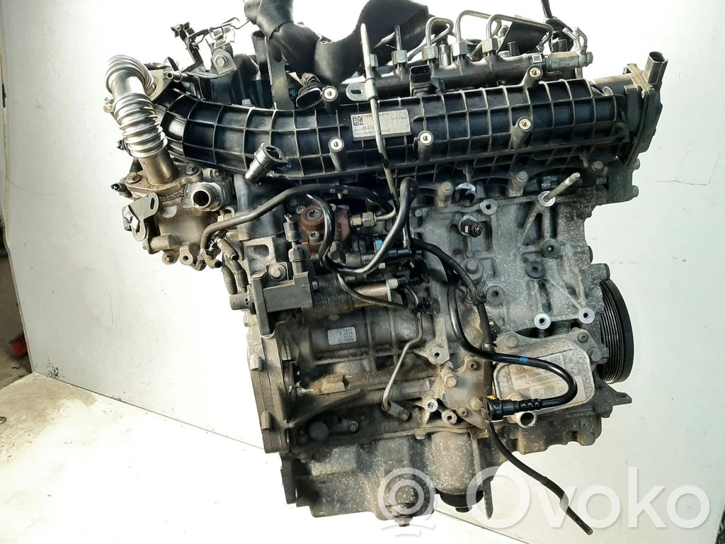 Variklis   B16DTH