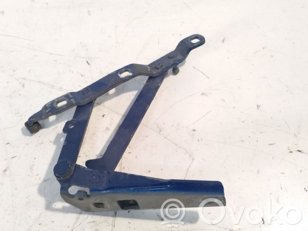 Tailgate/trunk/boot hinge