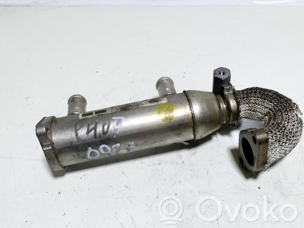 Peugeot 407 Refrigerador de la válvula EGR 