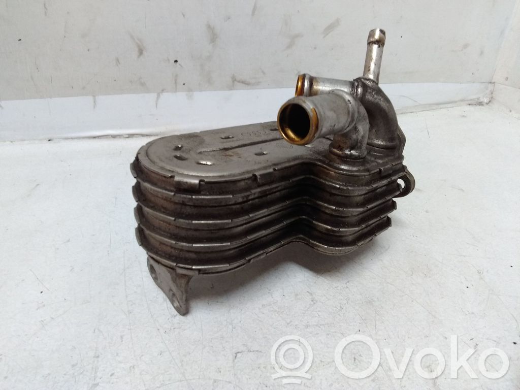 Audi A6 S6 C6 4F EGR dzesētājs 