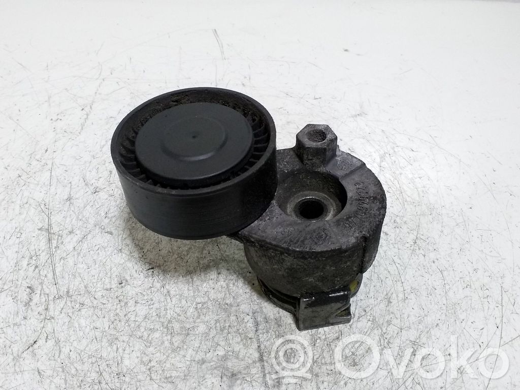 Nissan Qashqai Generatoriaus diržo įtempėjas 