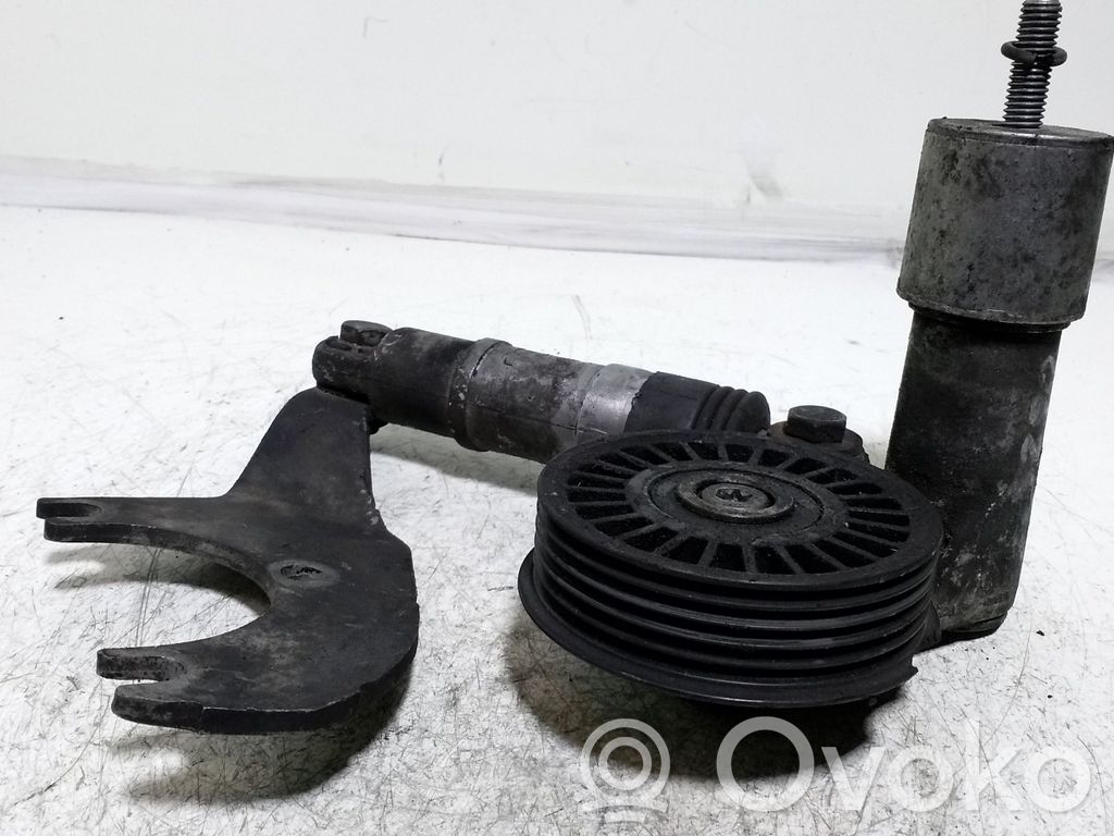 Audi A4 S4 B6 8E 8H Alternator belt tensioner 