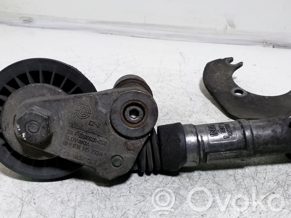 Skoda Superb B5 (3U) Alternator belt tensioner 