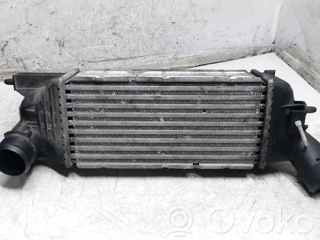 Peugeot 407 Intercooler radiator 