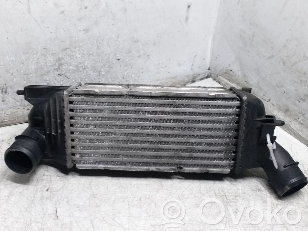 Peugeot 407 Intercooler radiator 