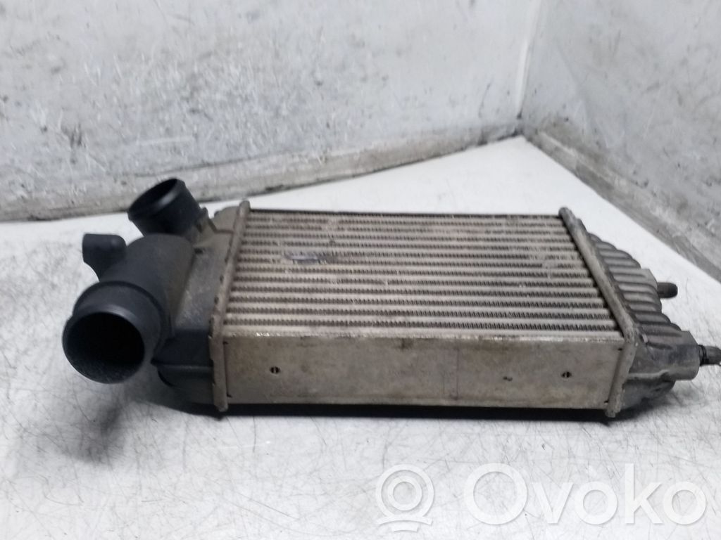 Intercooler radiator