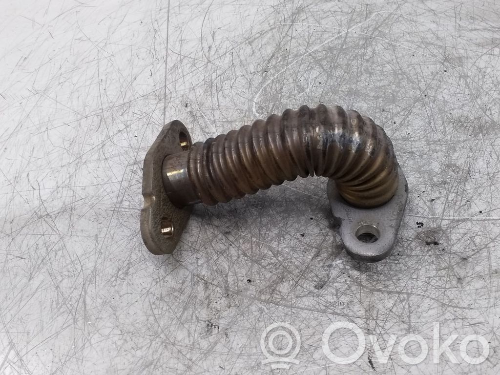 EGR-linjan letku   31338533