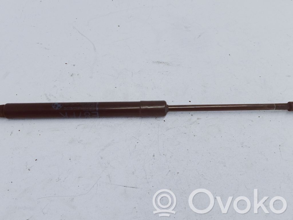 Vérin, capot-moteur   51237118370