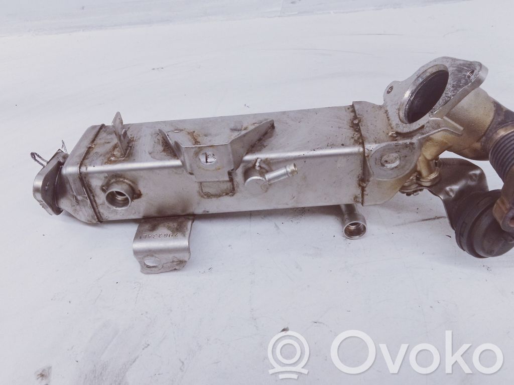 BMW 5 F10 F11 EGR dzesētājs 