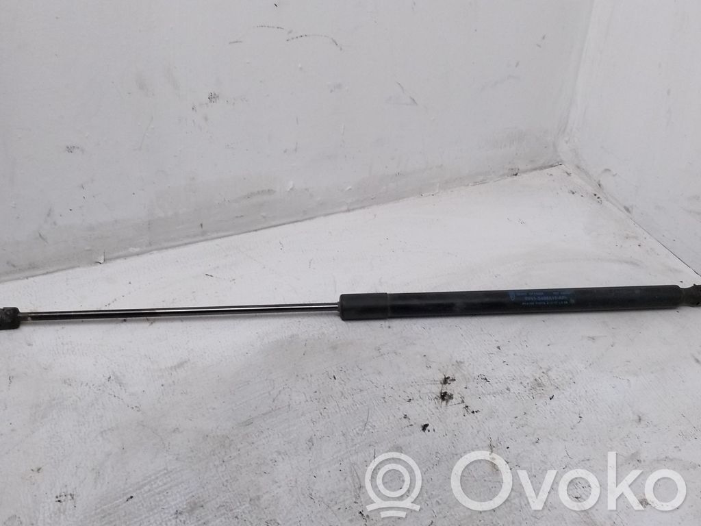 Ford Kuga I Tailgate/trunk strut/damper 