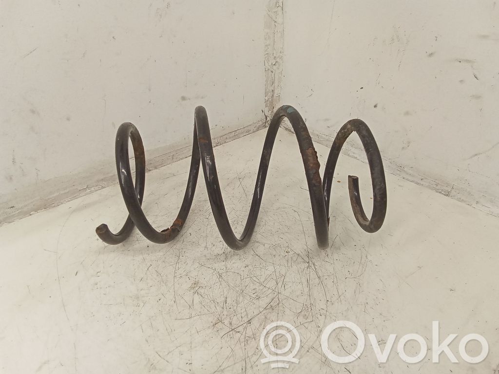 Front coil spring