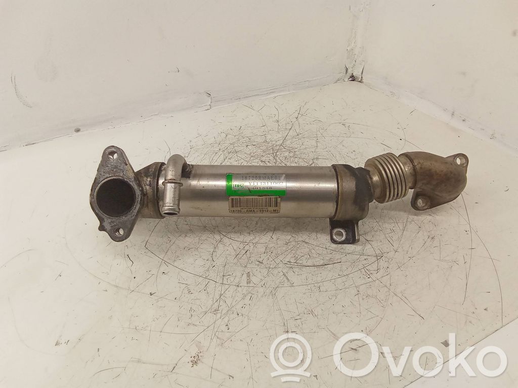 Chłodnica spalin EGR   Y114311002,491548,18720RMAE01