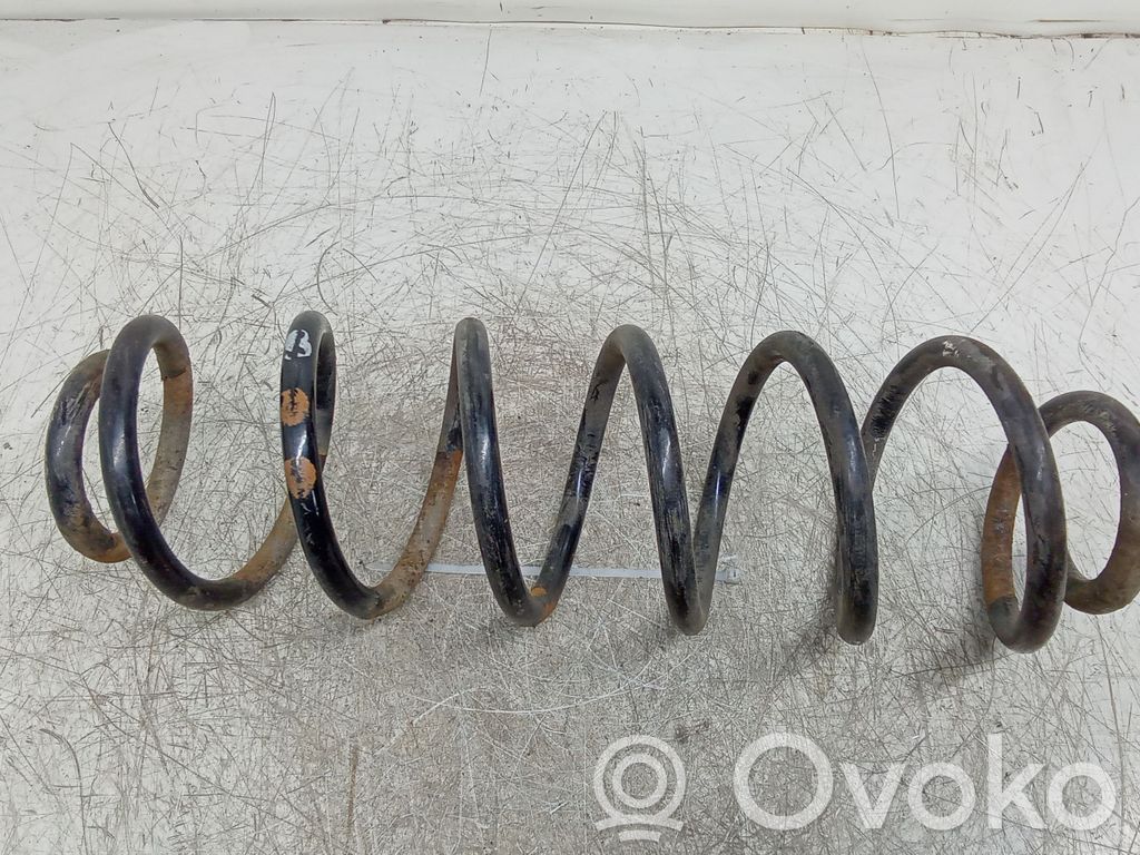 Muelle espiral trasero