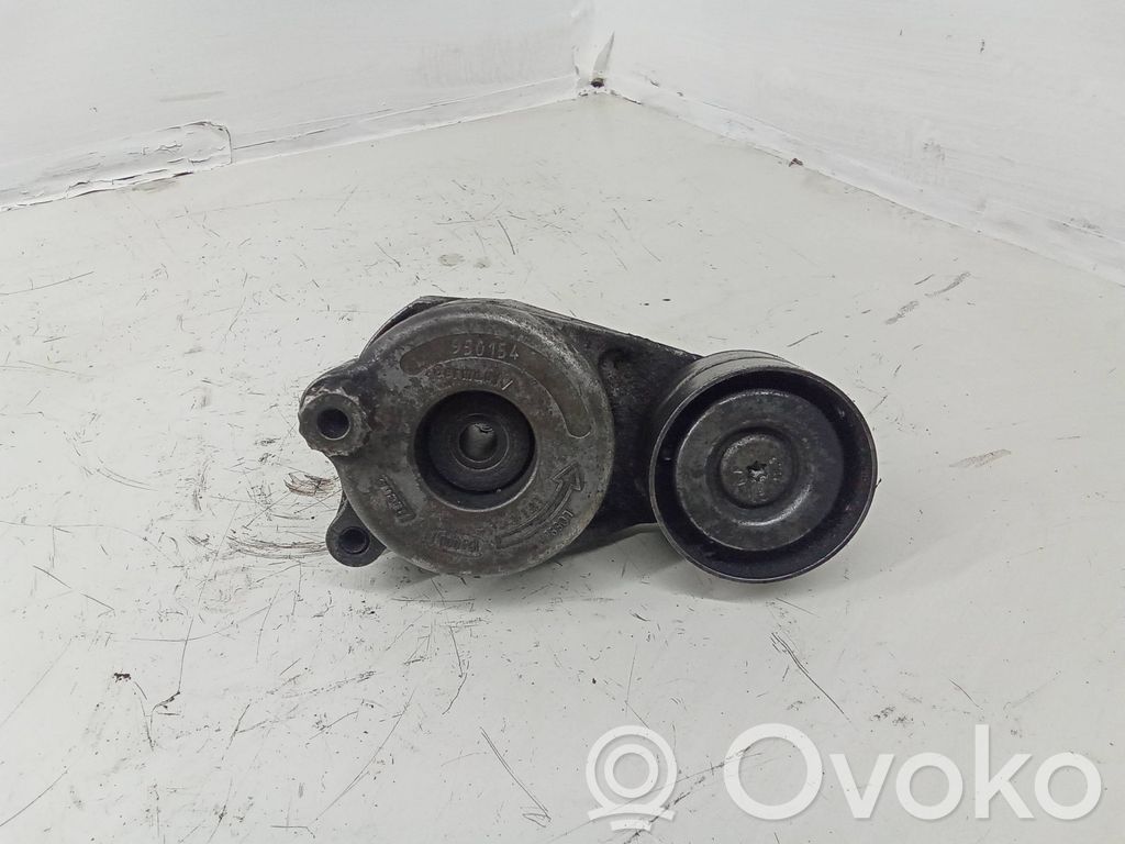 Mercedes-Benz S W221 Napinacz paska wielorowkowego / Alternatora 