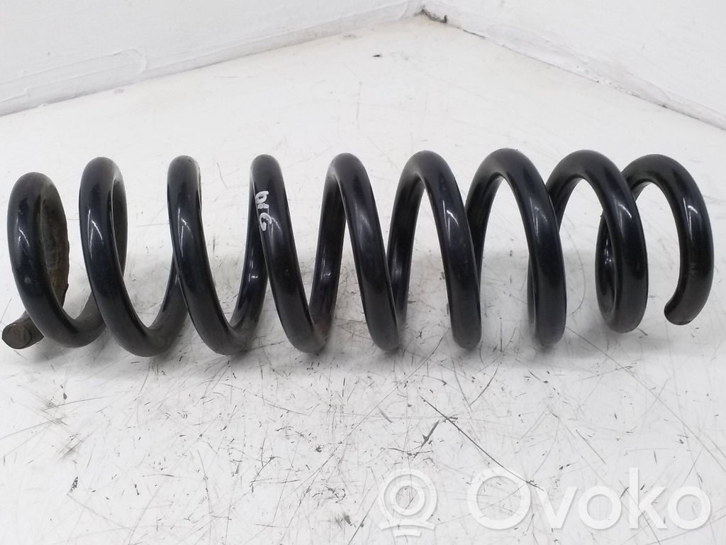 Rear coil spring