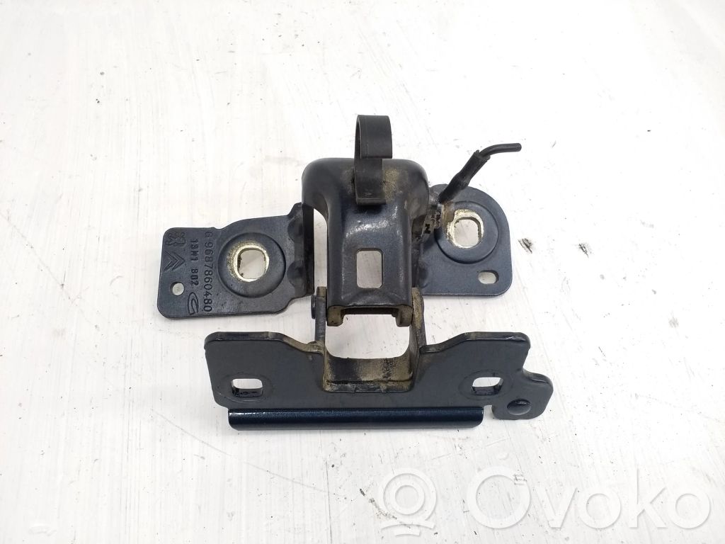 Peugeot 508 Tailgate/trunk/boot hinge 