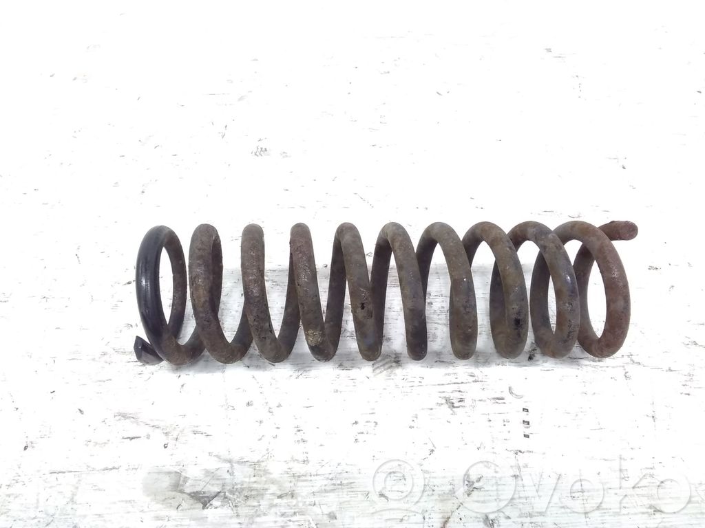 Muelle espiral trasero