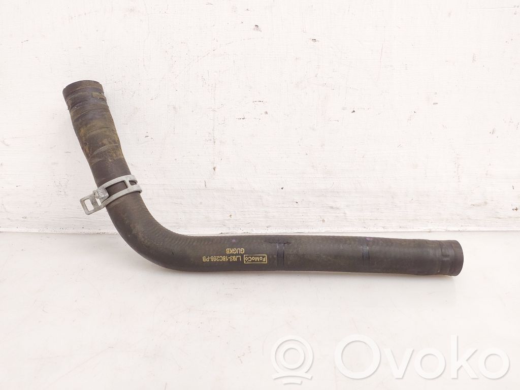 Ford Mustang Mach-E Electric car engine cooling hoses/pipes 