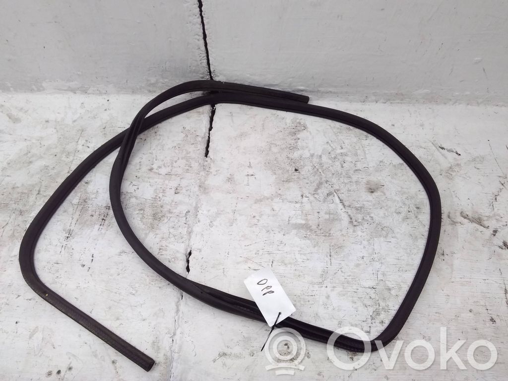 Nissan Qashqai Guarnizione in gomma portiera anteriore 