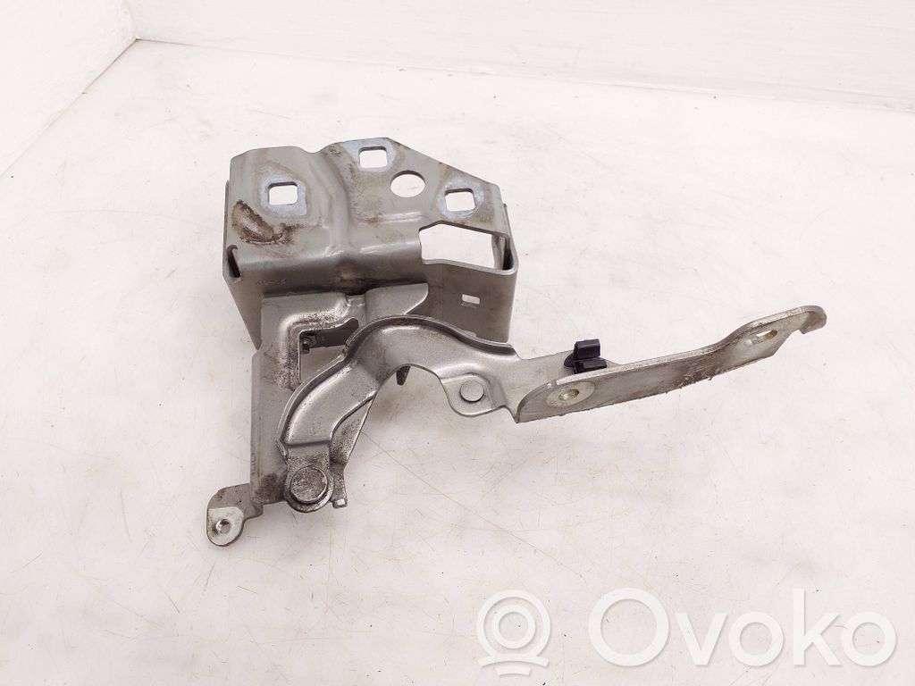 Renault Trafic III (X82) Balamale capotă 
