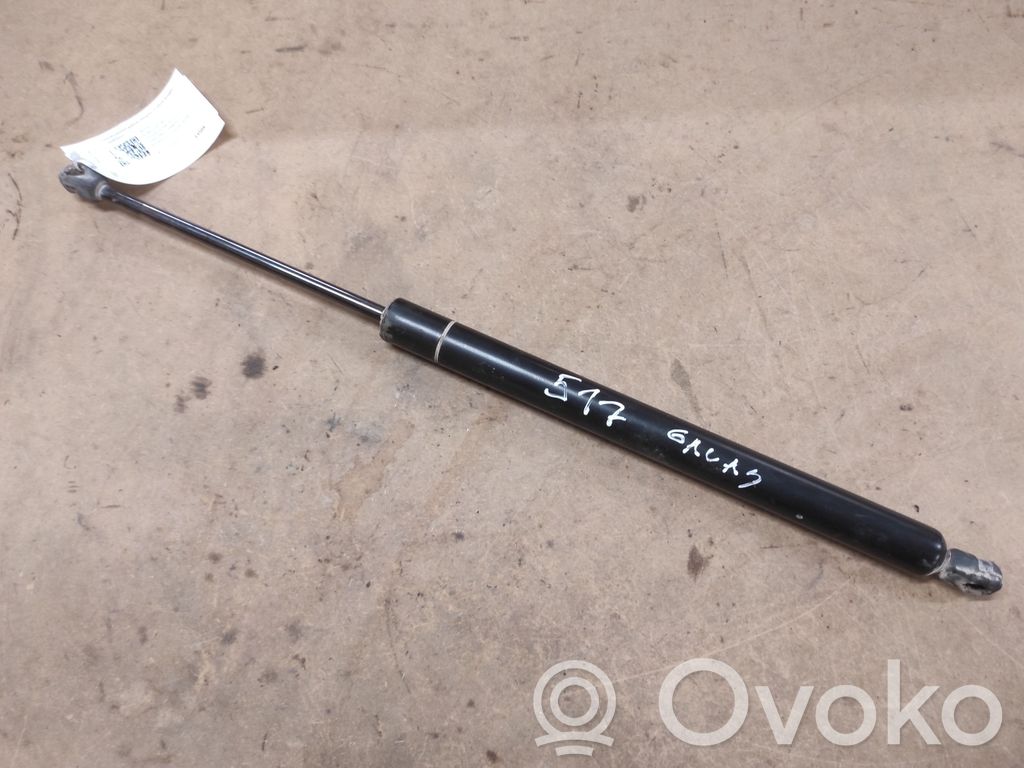 Tailgate/trunk strut/damper