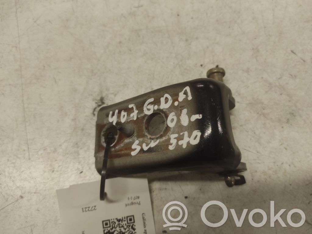 Peugeot 407 Rear door lower hinge 