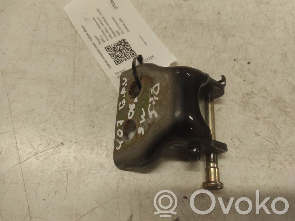 Peugeot 407 Rear door upper hinge 