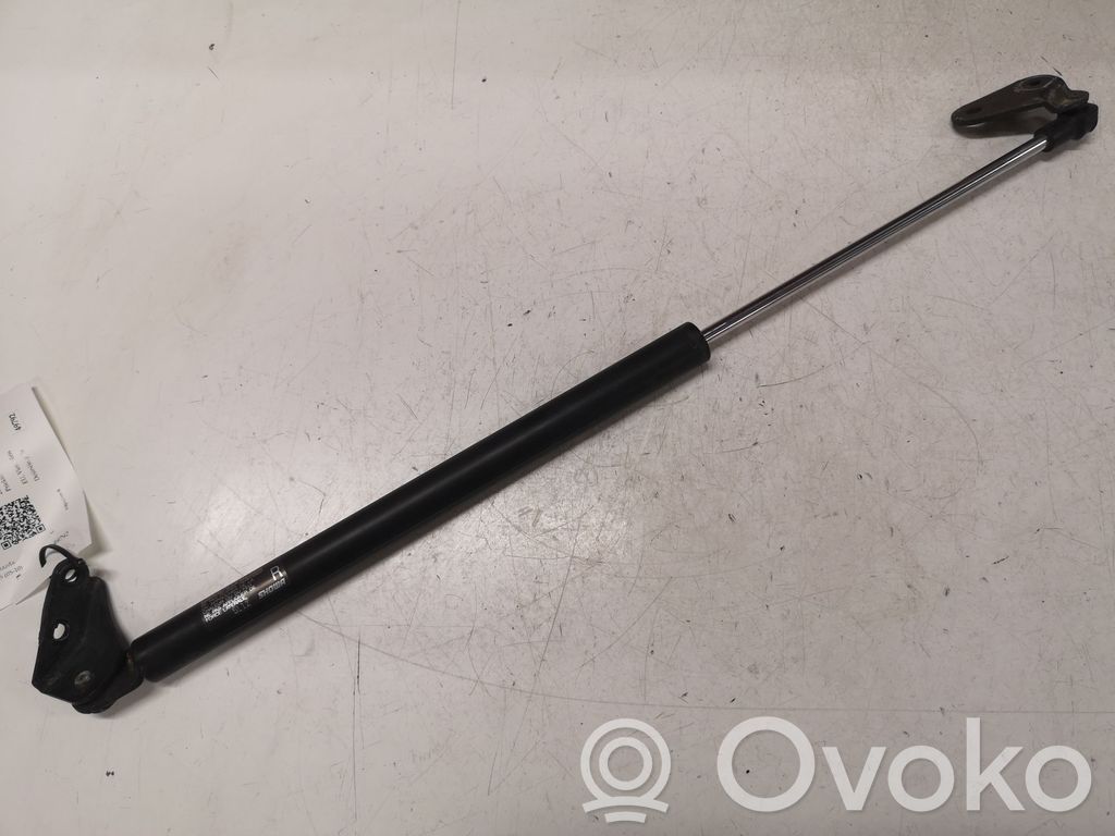 Tailgate/trunk strut/damper   5L12