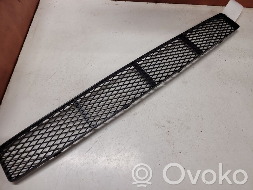 Front bumper lower grill