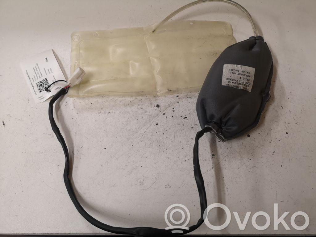 Jaguar X-Type Airbag del asiento 