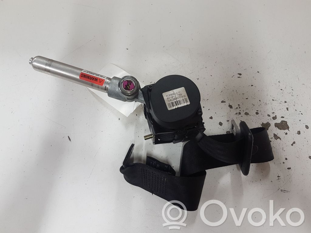Volvo V50 Cinturón trasero 