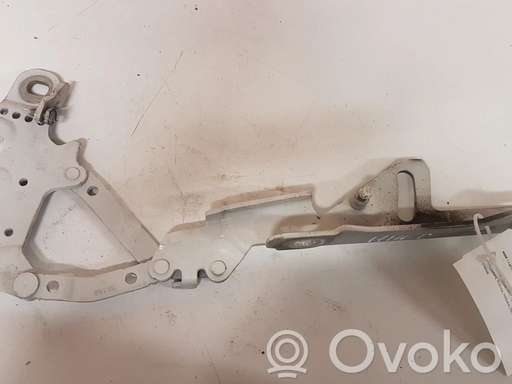 BMW 1 F20 F21 Cerniere del vano motore/cofano