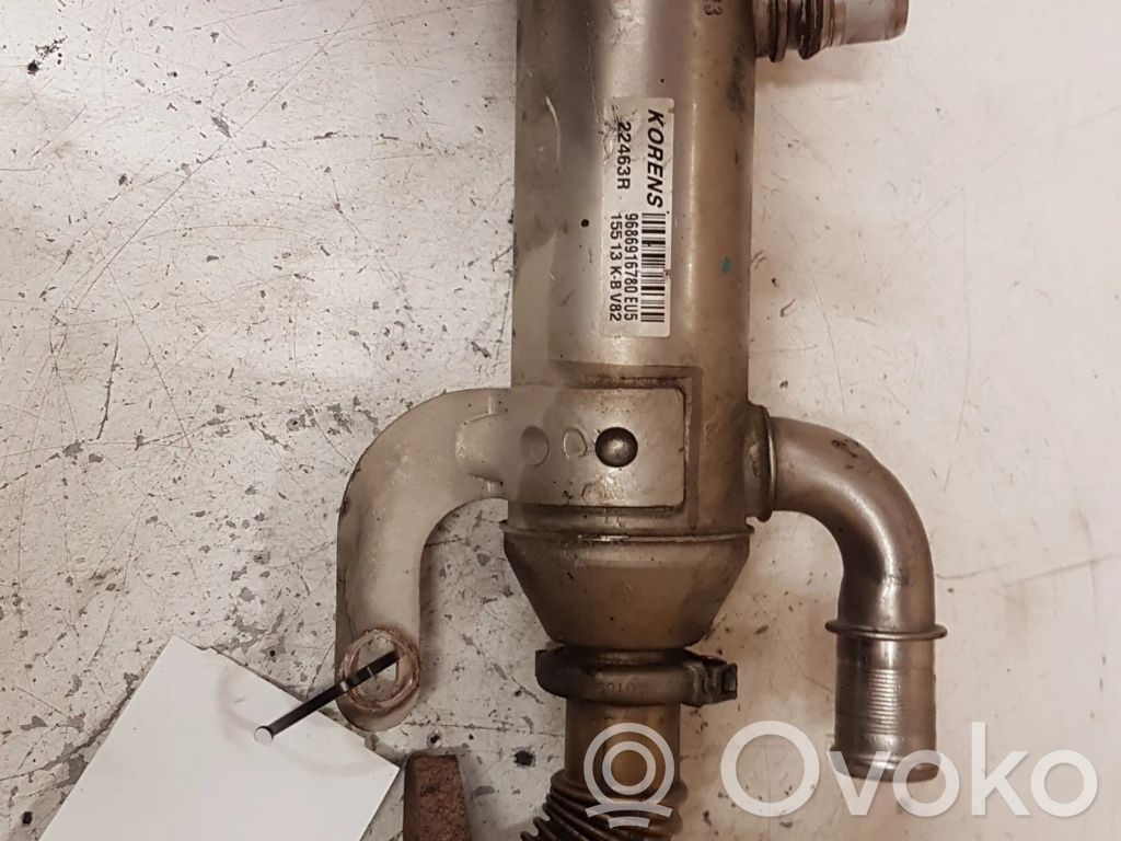 Citroen C5 Răcitor supapă EGR 