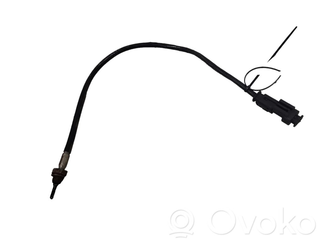 Exhaust gas temperature sensor   794202