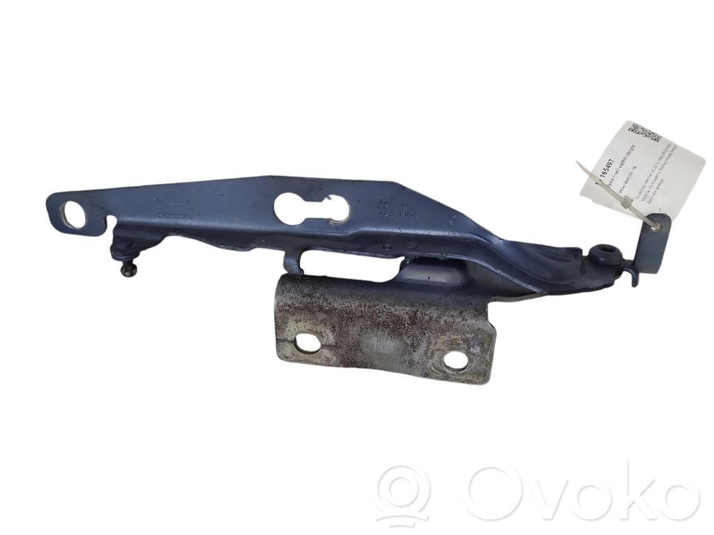 Bisagras del capó/tapa del motor