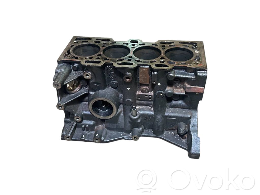 Renault Megane III Bloque de motor 