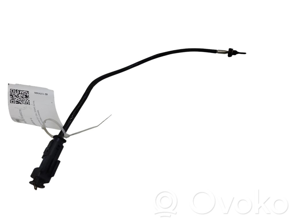 Abgastemperatursensor   7811913,0728000462