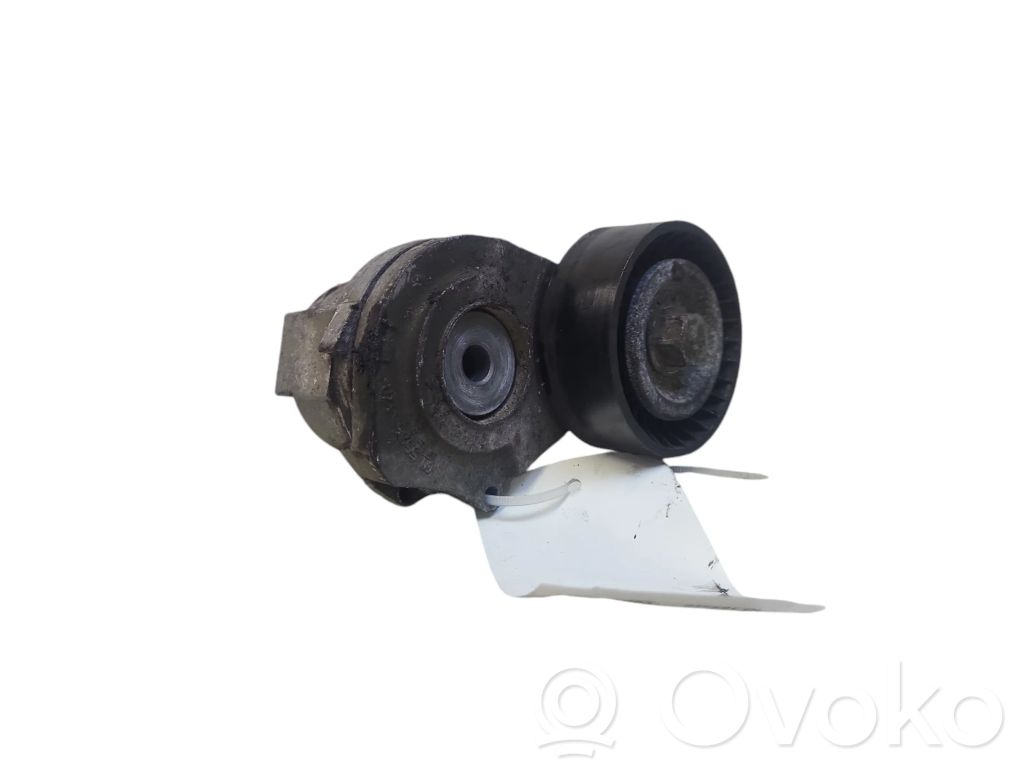 Tensor de correa del alternador   55565570