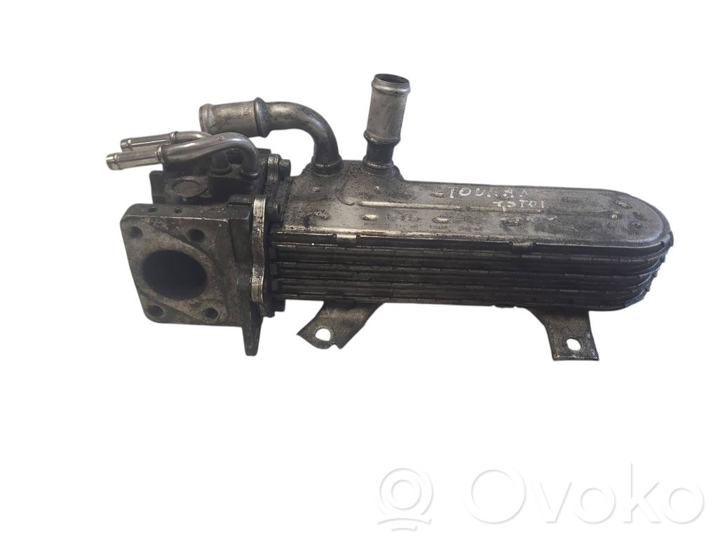 Seat Toledo III (5P) Valvola di raffreddamento EGR