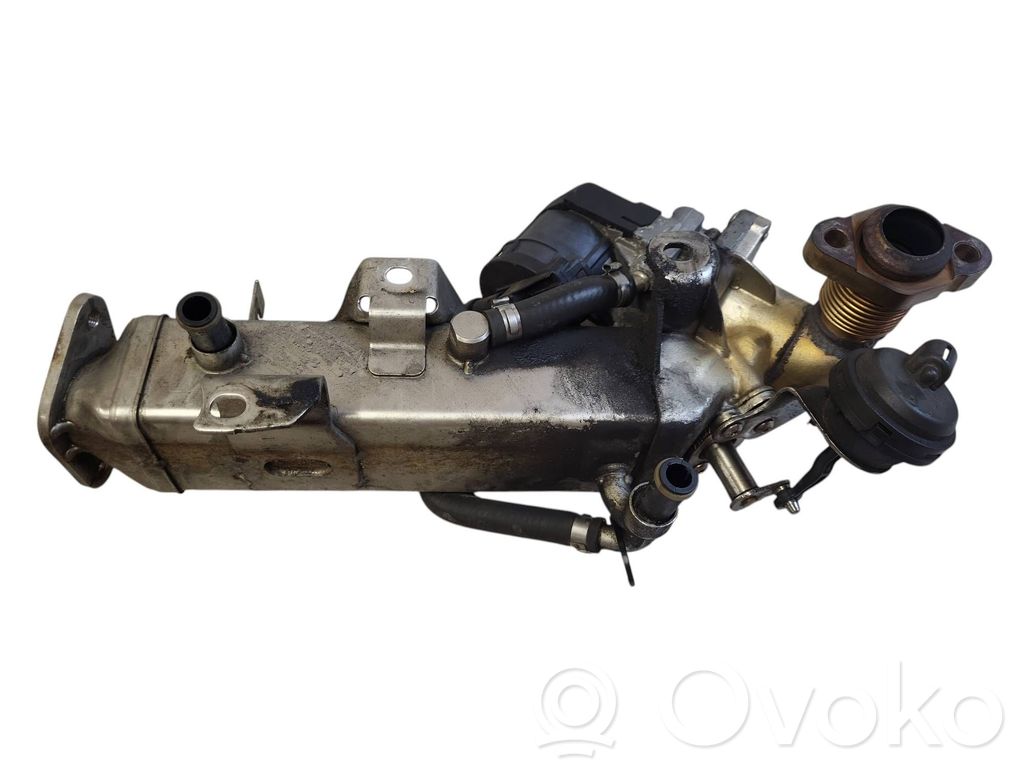 BMW 1 F20 F21 Refrigerador de la válvula EGR