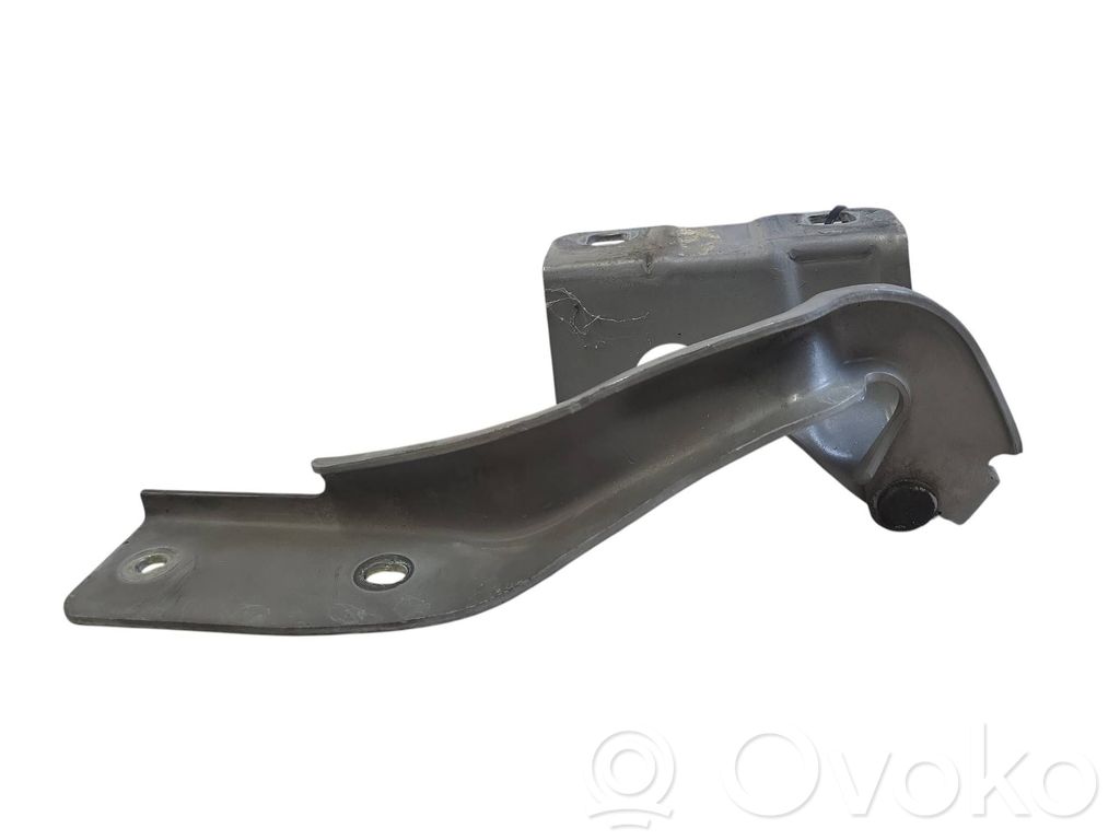Renault Koleos I Engine bonnet/hood hinges 