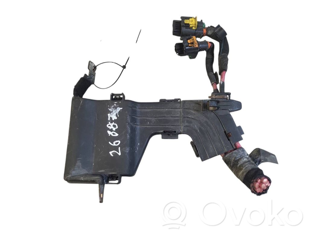 Cableado positivo   243170003R,030088801