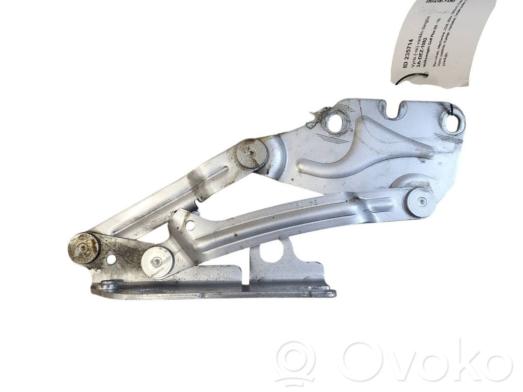 Volkswagen Golf Plus Cerniere del vano motore/cofano 