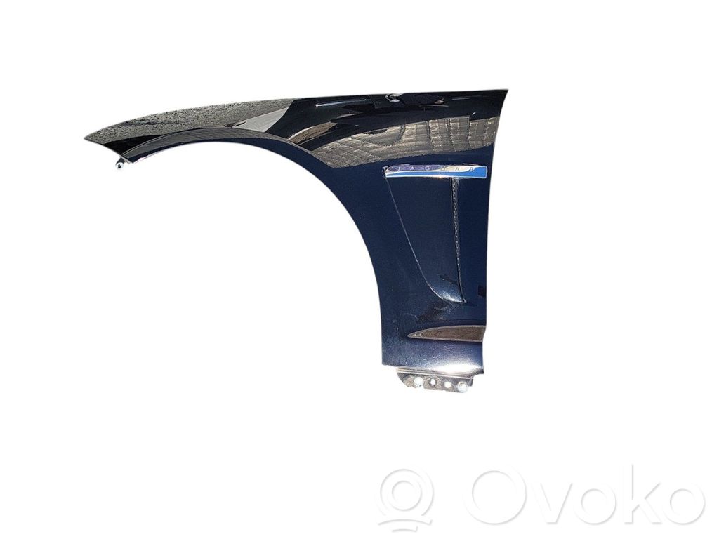 Jaguar XF X250 Guardabarro