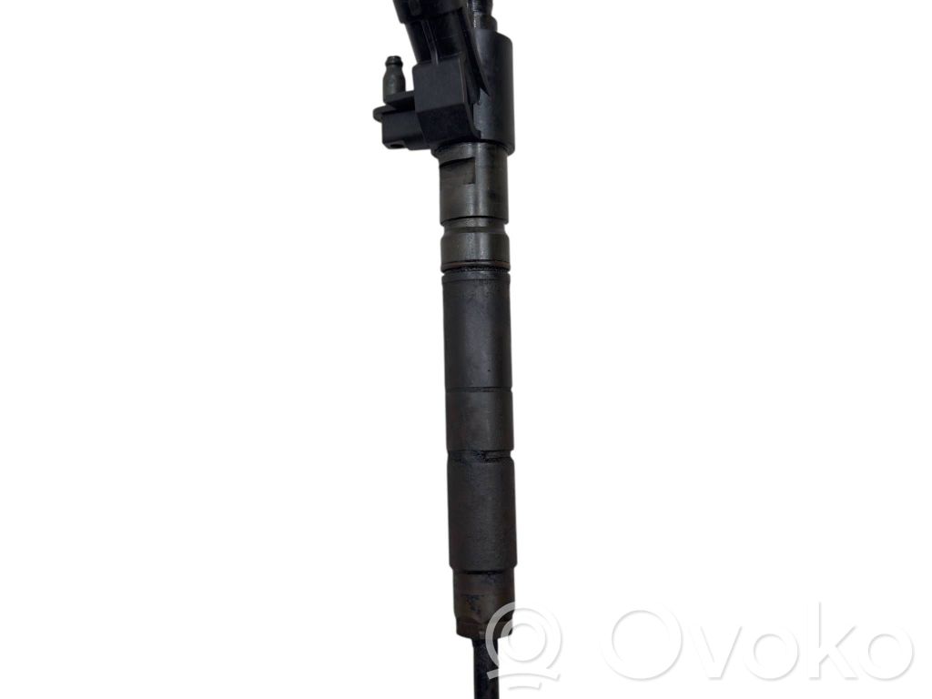 Land Rover Range Rover Sport L320 Injector combustibil 