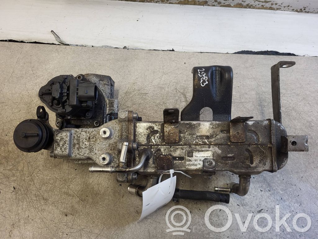 Opel Antara Zawór EGR 