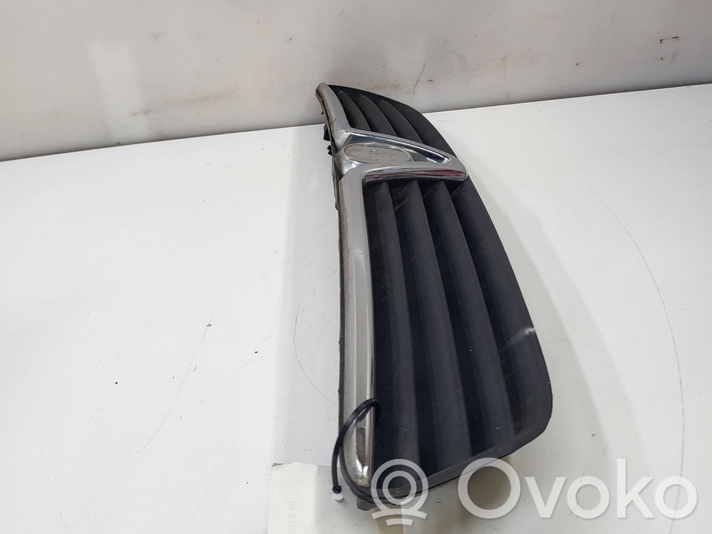 Opel Astra G Oberes Gitter vorne