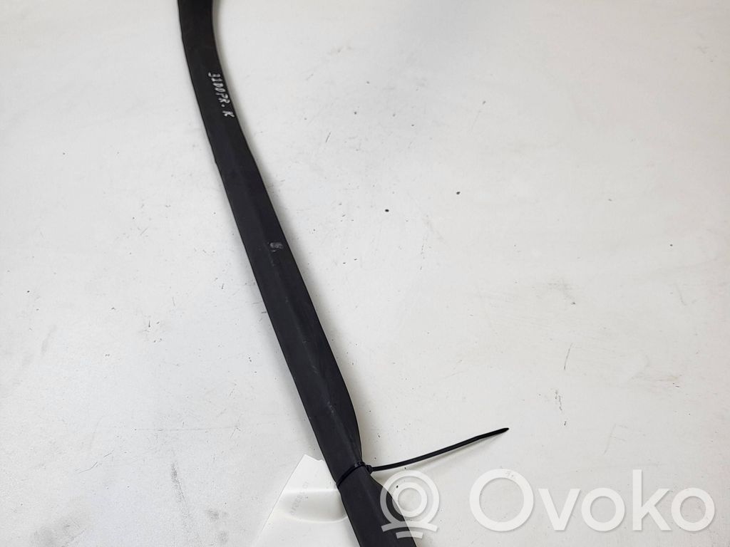 Peugeot 308cc Ornament parbriz