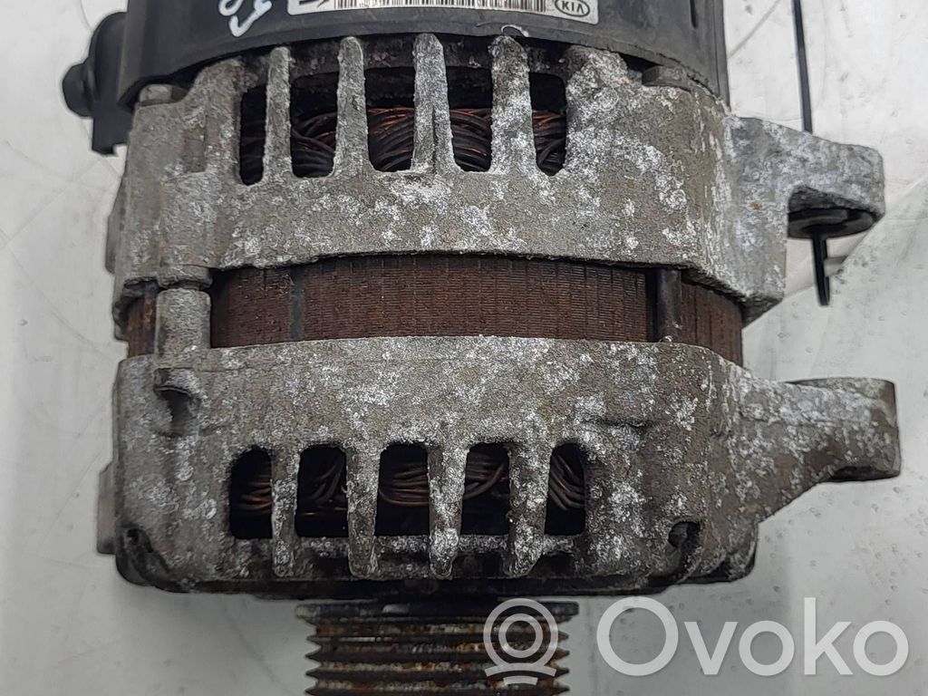 Generator/alternator   373002F100,FG15S034,2606259
