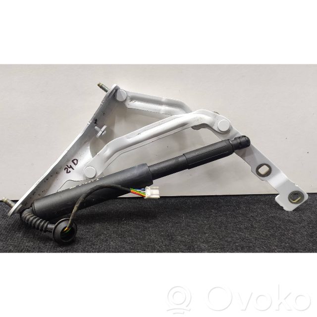 Tesla Model 3 Tailgate/trunk strut/damper 